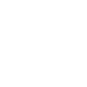 Segal Family Foundation